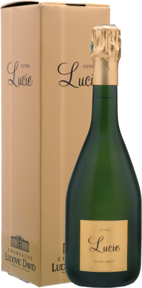 Fles Ludovic David Cuvée Lucie champagne, groen met goud etiket en capsule, met bijpassende goudkleurige doos